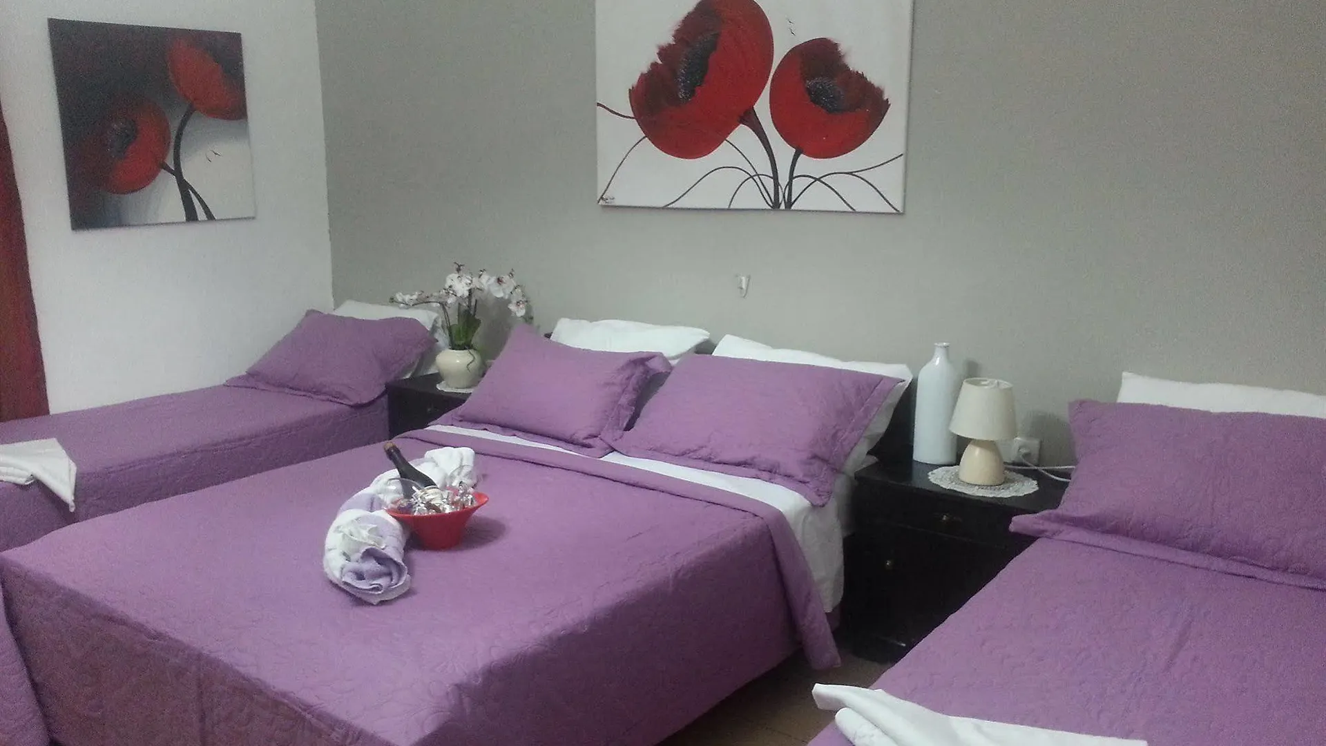 Zimmer Garden Hayfa Daire